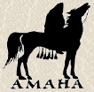 The American Model Arabian Horse Association