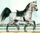 Kafar Mosaic Dressage